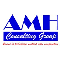 AMH Consulting-Group