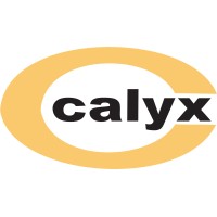 Calyx Chemicals & Pharmaceuticals Ltd.