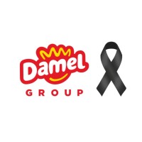 Damel Group