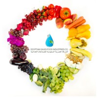 Egyptian Saudi Food Industries Food Co. - ESFIC