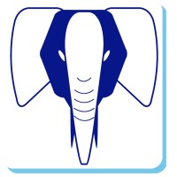 Plasticam