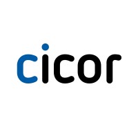Cicor Group