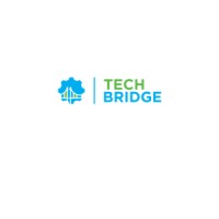 TechBridge Consulting