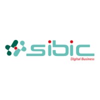 SIBIC : the new digital horizons