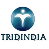 TridIndia IT Translation Services Pvt.Ltd