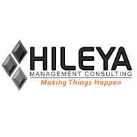 Hileya - Management Consulting