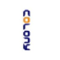 Colony Textile Mills Ltd.