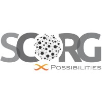SCORG International Consulting Pvt. Ltd.