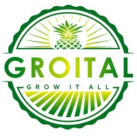 Groital Company Ltd