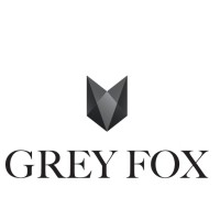 Grey Fox