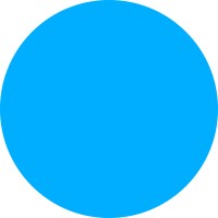 Websolute - Digital Company