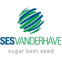 SESVANDERHAVE