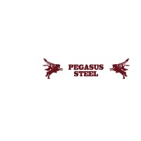 Pegasus Steel South Africa