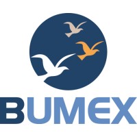 BUMEX s.a