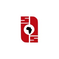 LIBYAN AFRICAN INVESTMENT COMPANY
