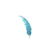 Bluecrystal Financial Group