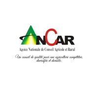 ANCAR