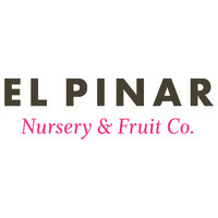 El Pinar