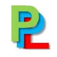 PENIEL PETROSERVE LTD