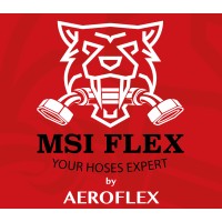 MSI FLEX