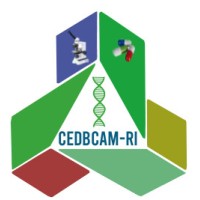 CEDBCAM-RI