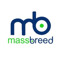 Massbreed Investments Zambia Limited
