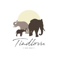 Tindlovu Group