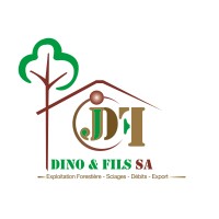 DINO&FILS S.A