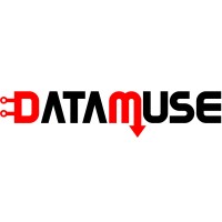 DataMuse Africa
