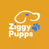 Ziggy Pupps