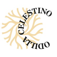 Odilia Celestino Independent Psychometrist
