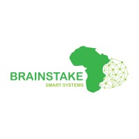 Brainstake Smart Systems