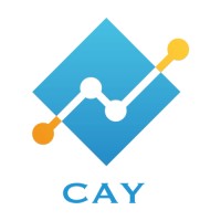 CAY CONSULTING