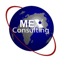 MethodEx Consulting