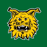 Tampereen Ilves | Ilves Hockey