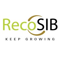 RecoSIB LLP