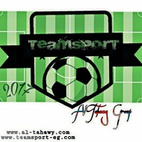 Al Tahawy group Team Sport Artificial grass الطحاوي جروب المنصورية للمقاولات
