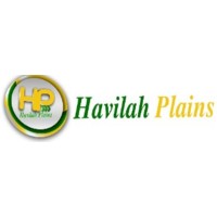 Havilah Plains Company Limited