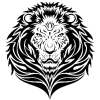 LIONS ESTATE | Najczęściej polecana agencja nieruchomości premium