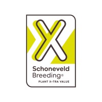 Schoneveld Breeding