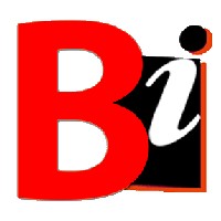Burhani Infosys Ltd
