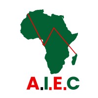 Africa Engineering and Expert Consultants (AEEC))