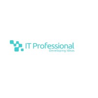 IT Professional