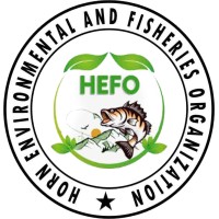 HEFO