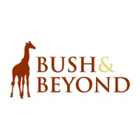Bush & Beyond