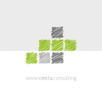 Ceista Consulting
