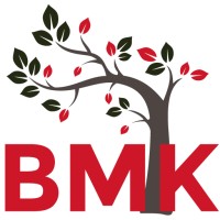 BMK Orthopaedics (Pty) Ltd