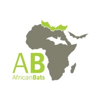 AfricanBats NPC