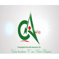 CNAVIE-NIGER