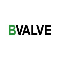BVALVE Flow, Systems & Controls